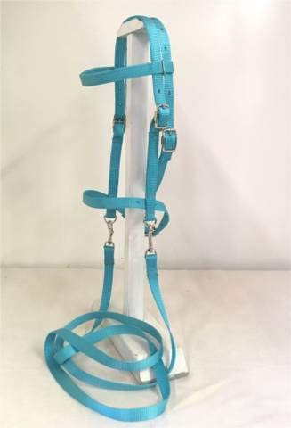 Turquoise Saddle Pad Set D49251