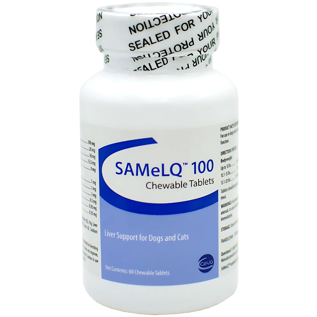 S-Adenosyl-100 60 Tablets J163558