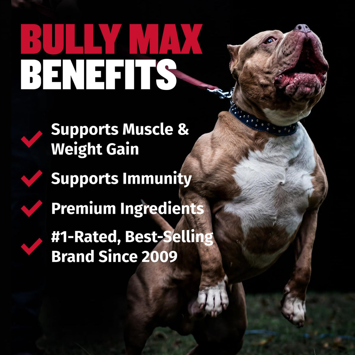 2-in-1 Dog Muscle Builder Chewable Tablets X620