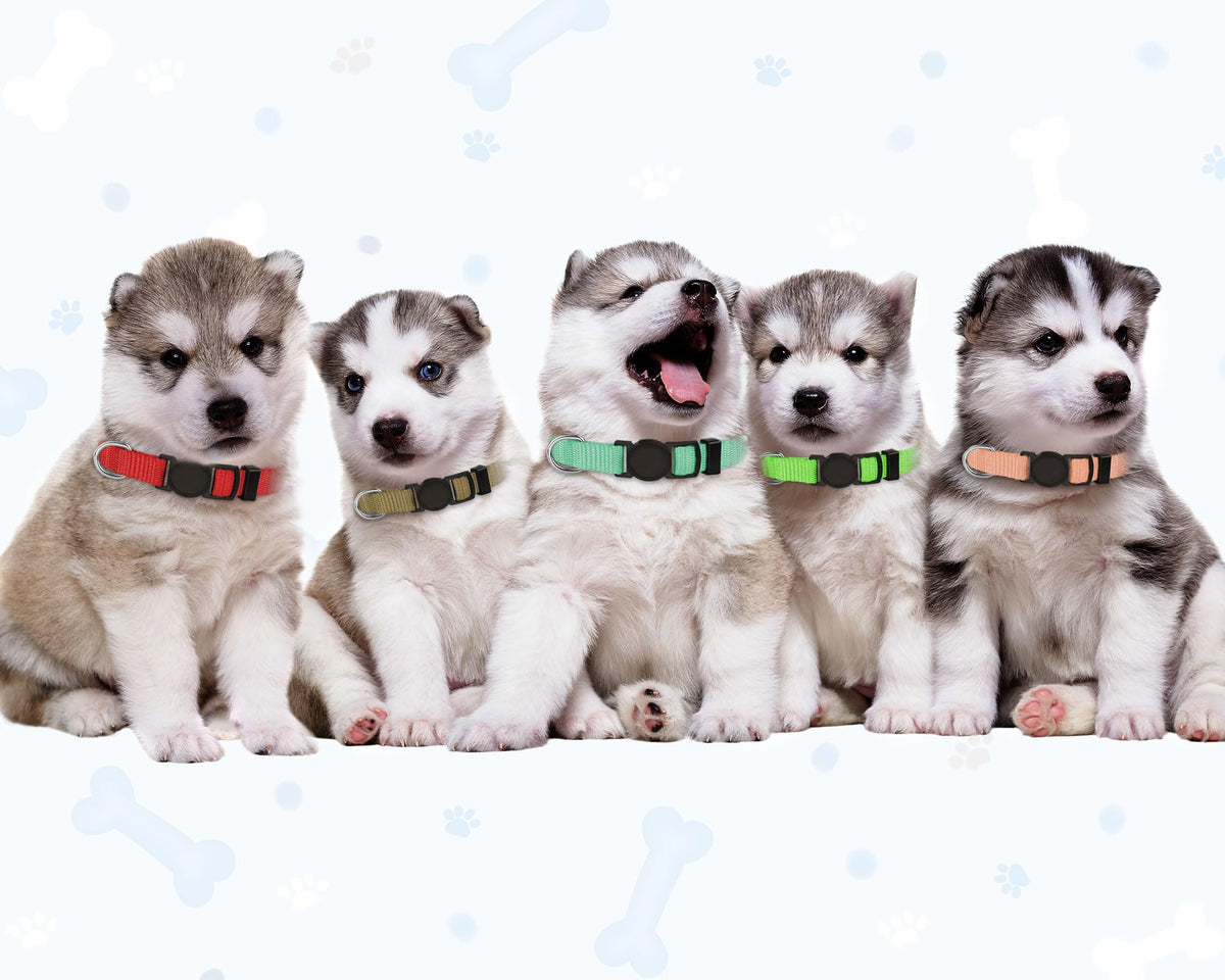 20 PCS Nylon Breakaway Puppy Collars C53584