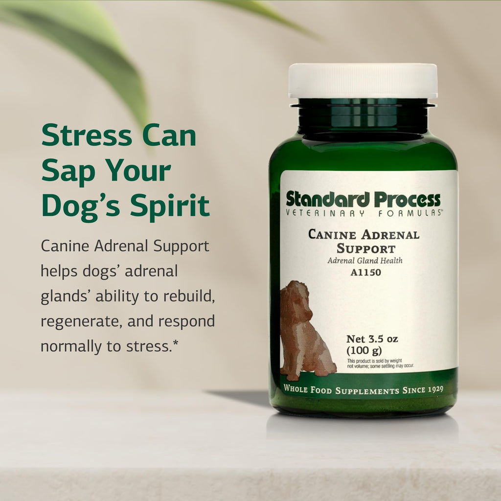 Canine Adrenal Support 100 g V351003