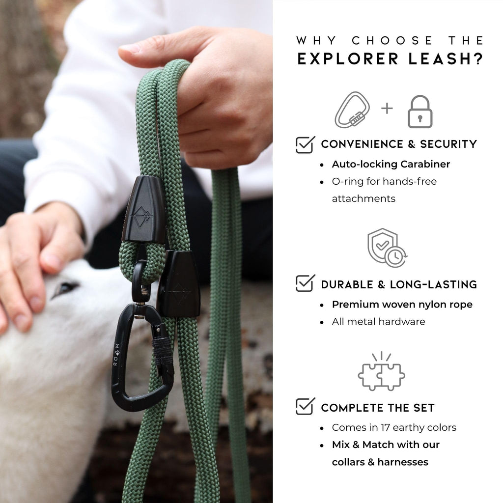Climbing Rope Leash with Autolocking Carabiner, 6ft J683193