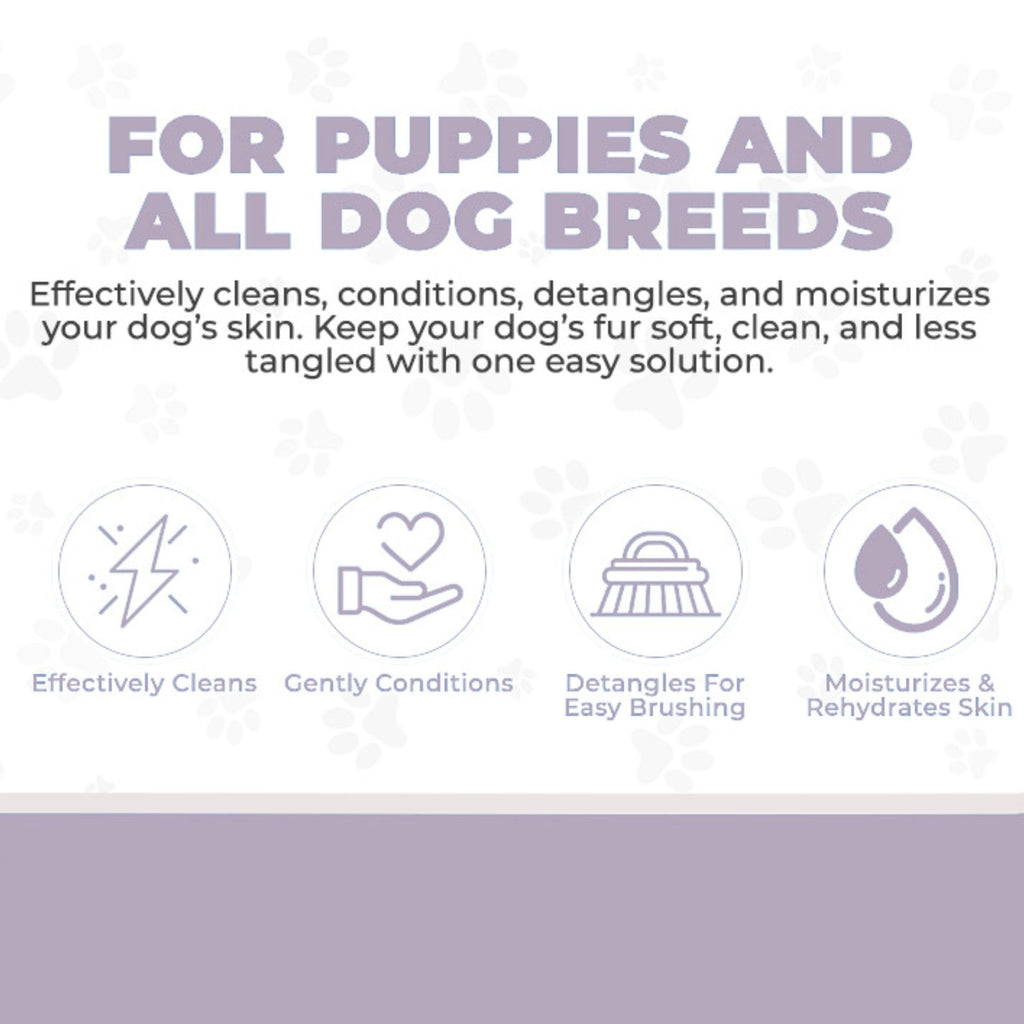 4-in-1 Dog Shampoo, Conditioner & Detangler, Lavender, 16 oz L32836