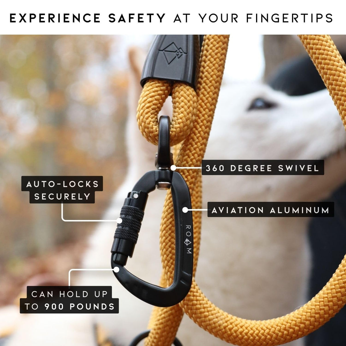 Climbing Rope Leash with Autolocking Carabiner, 6ft J683193