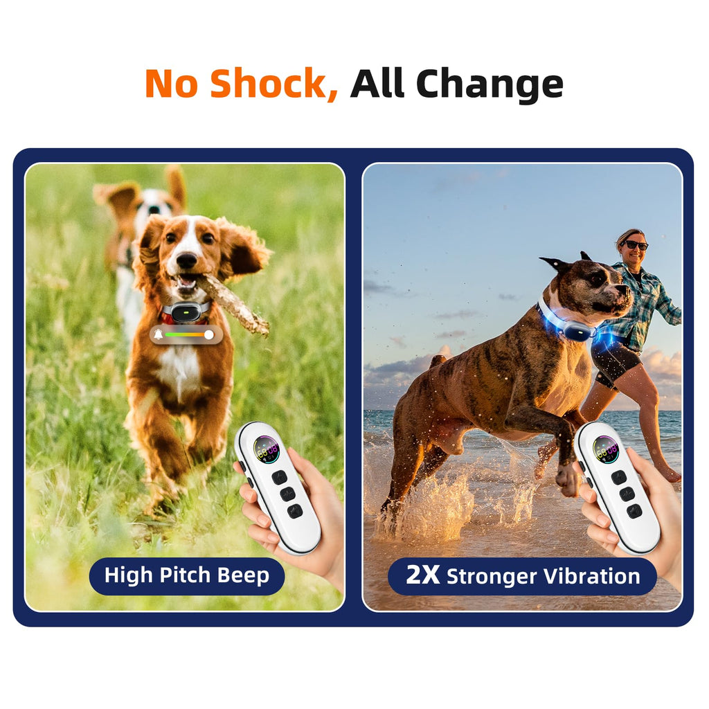 Ultra-Light Slim Dog Training Collar with Remote C235