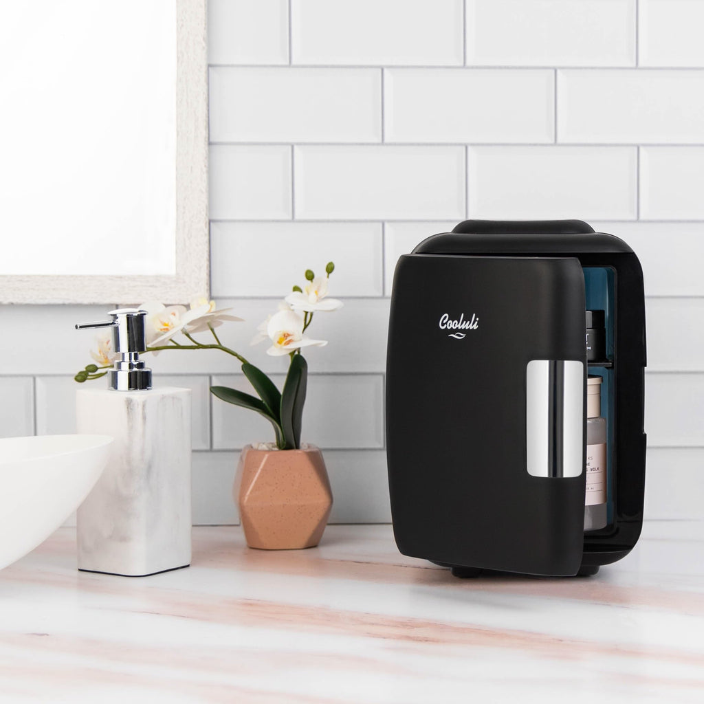 Portable 4L Mini Fridge Cooler & Warmer, Black W368