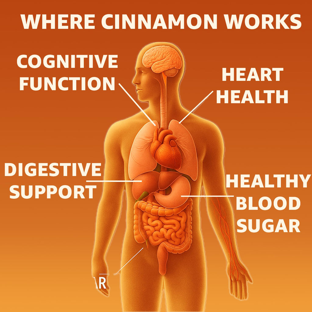 Cinnamon Supplement 1000mg 400 Vegetarian Capsules R654248