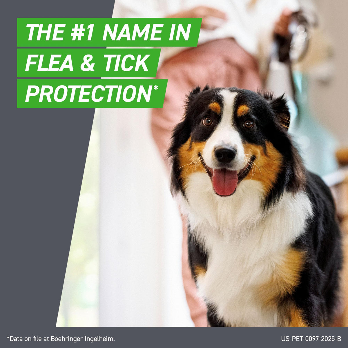 Flea & Tick Spot Treatment for Small Breed Dogs 5-22 lbs O5849