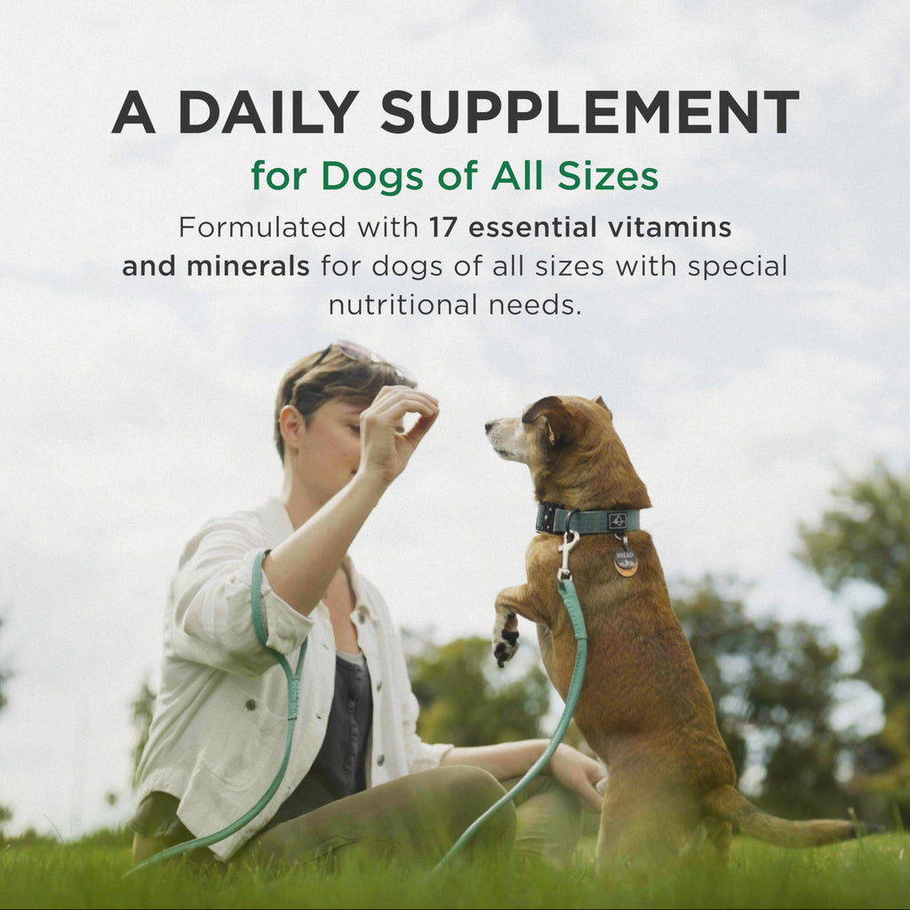 Multivitamin Supplement for Dogs 60 Chewables H900