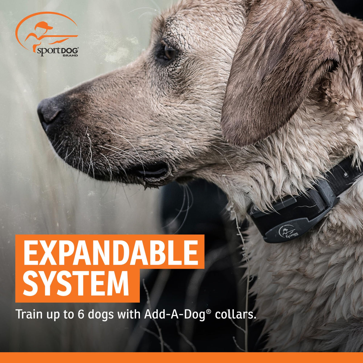 Add-A-Dog Waterproof Collar W242756