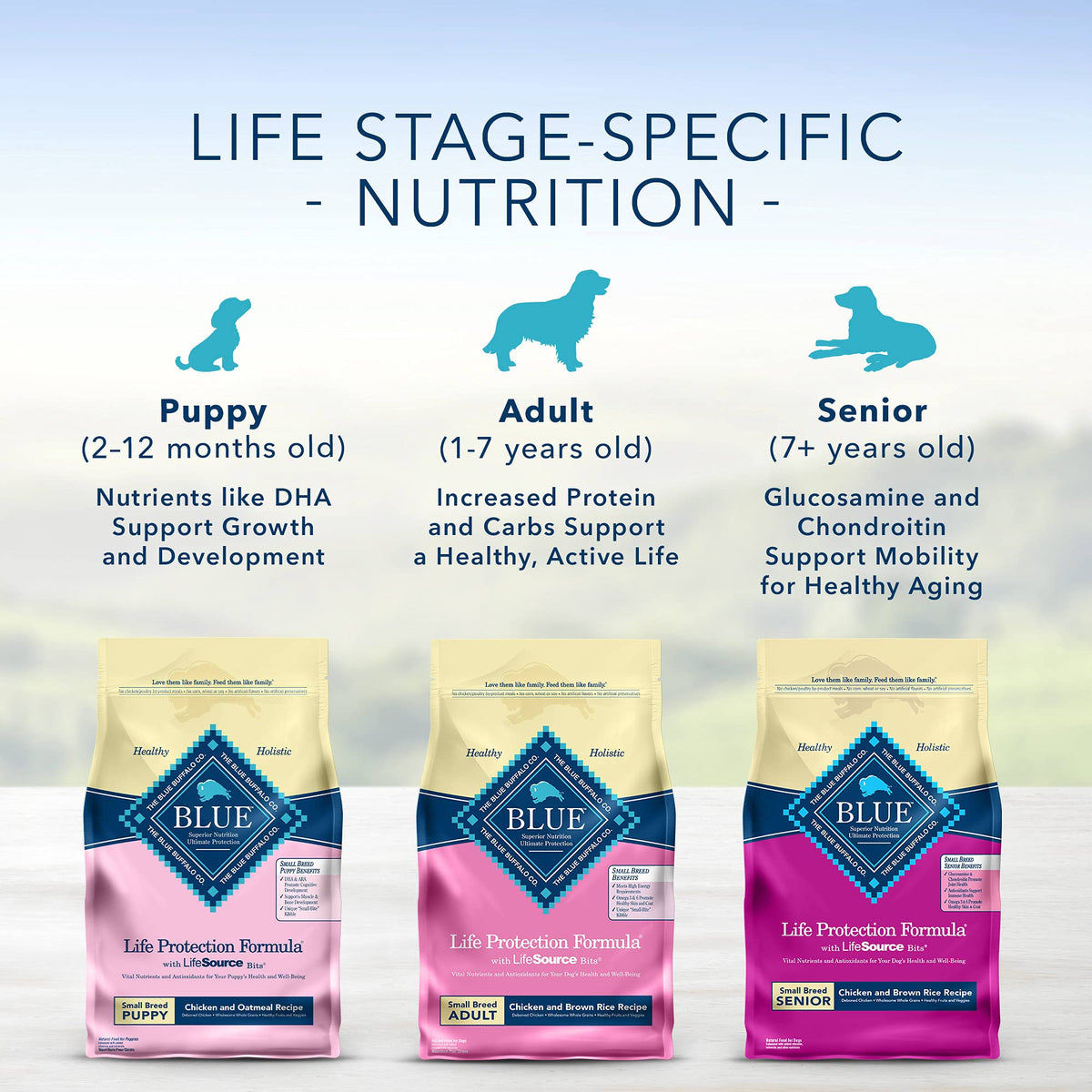 Natural Small Breed Healthy Weight Dry Dog Food Chicken and Brown Rice 6-lb L563670