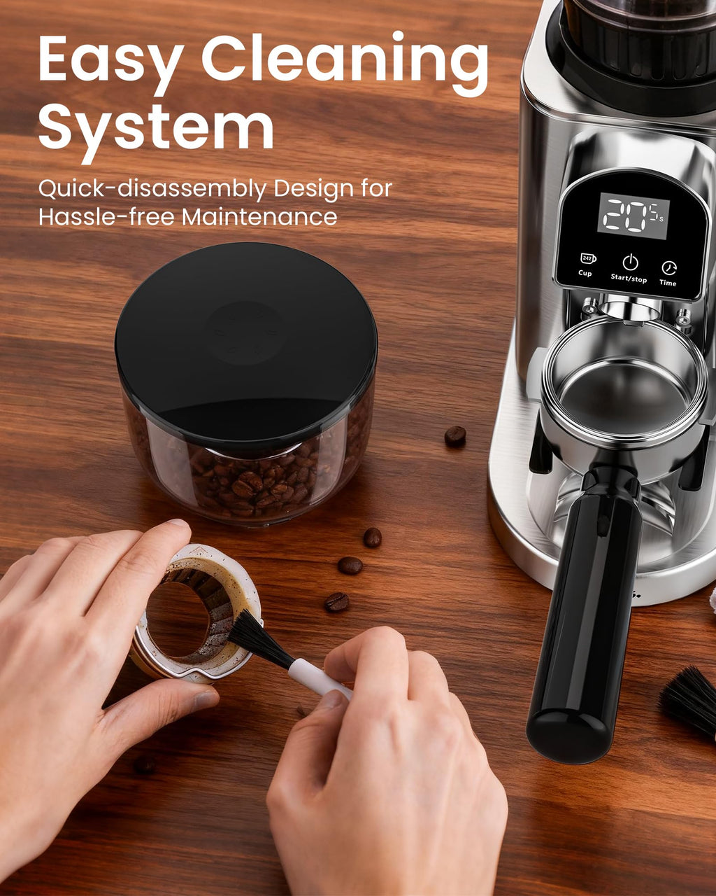 Electric Conical Burr Coffee Grinder T552