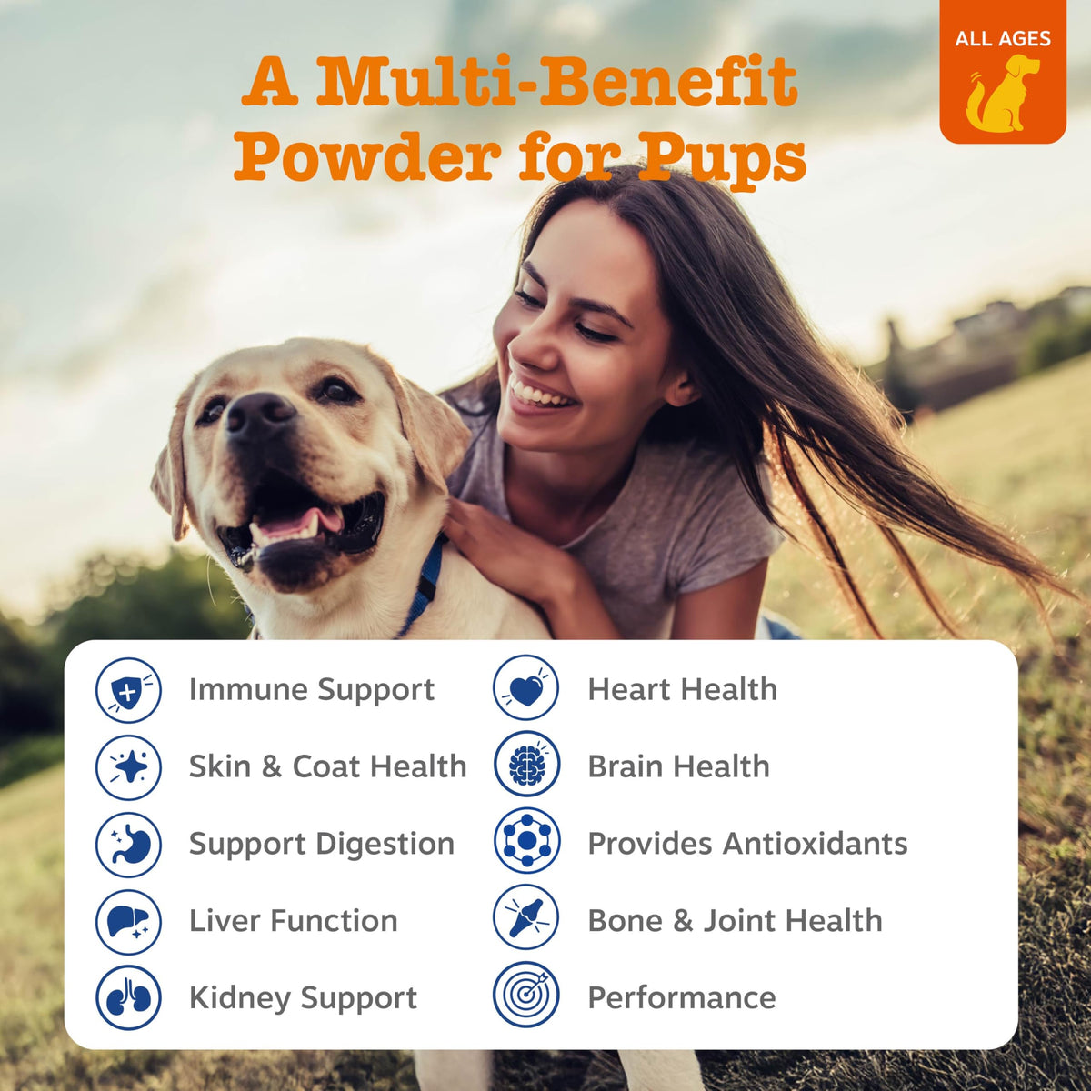 Dog Multivitamin Powder 30 Ct E7474