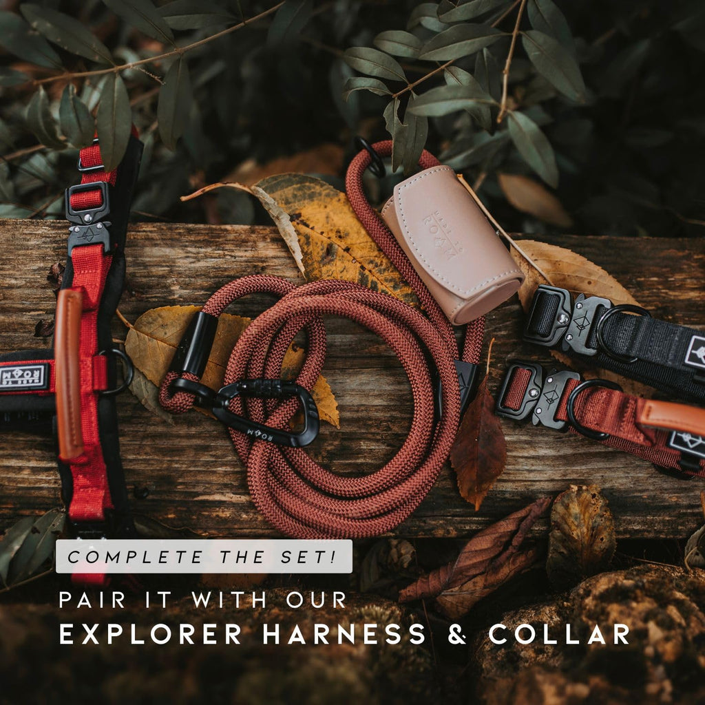 Climbing Rope Leash with Autolocking Carabiner, 6ft J683193