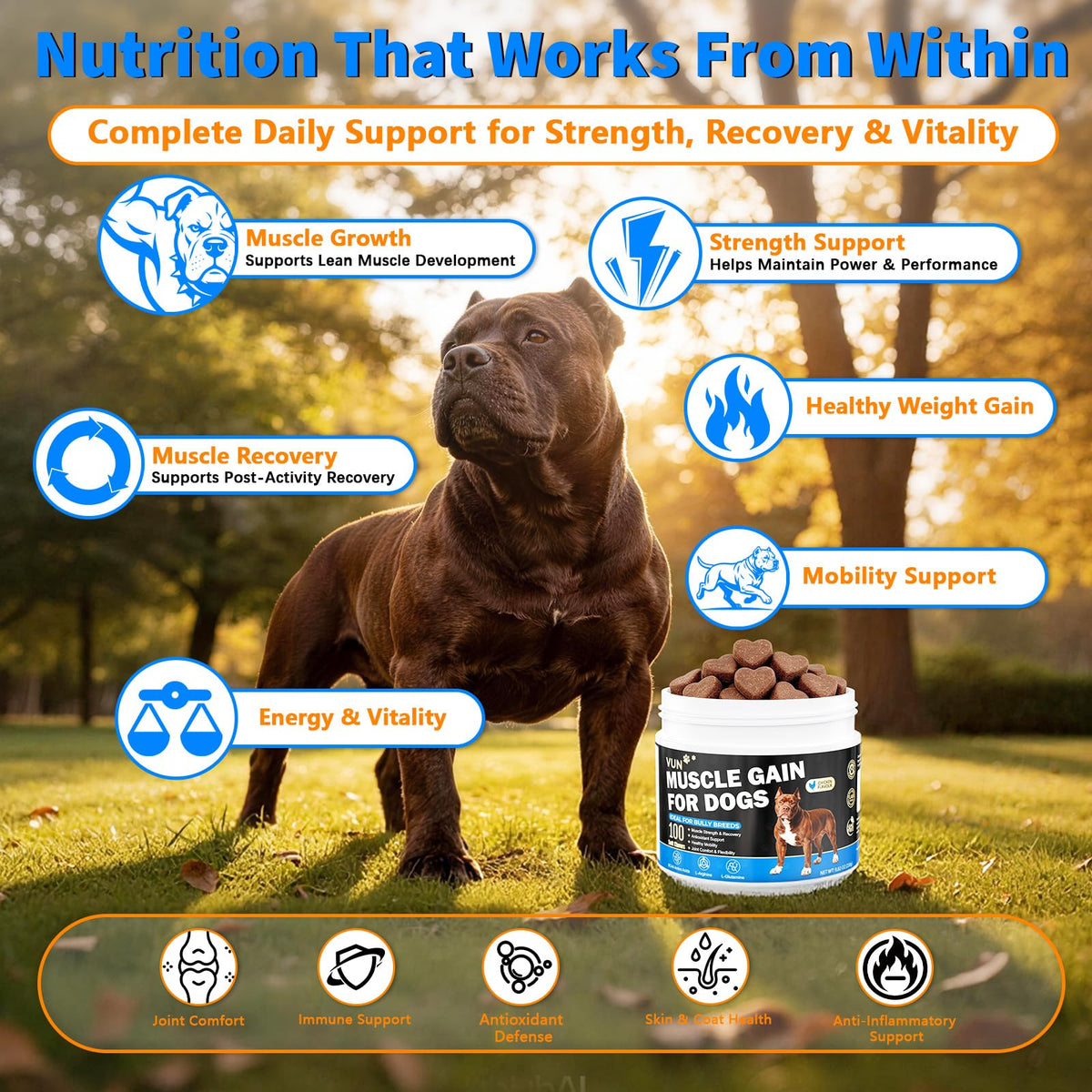 Dog Weight Gainer Soft Chews C86596