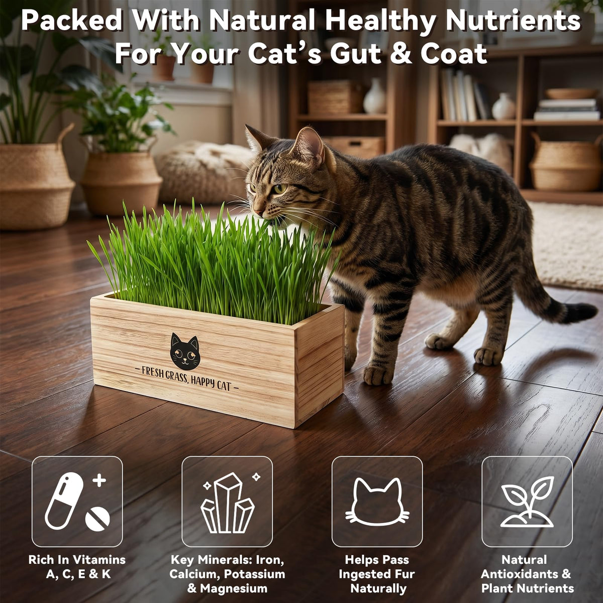 Cat Grass Kit Indoor Non-GMO Wheatgrass Seeds Growing Set K891