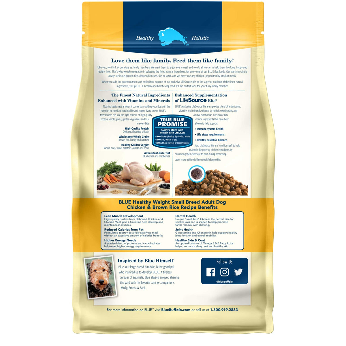 Natural Small Breed Healthy Weight Dry Dog Food Chicken and Brown Rice 6-lb L563670
