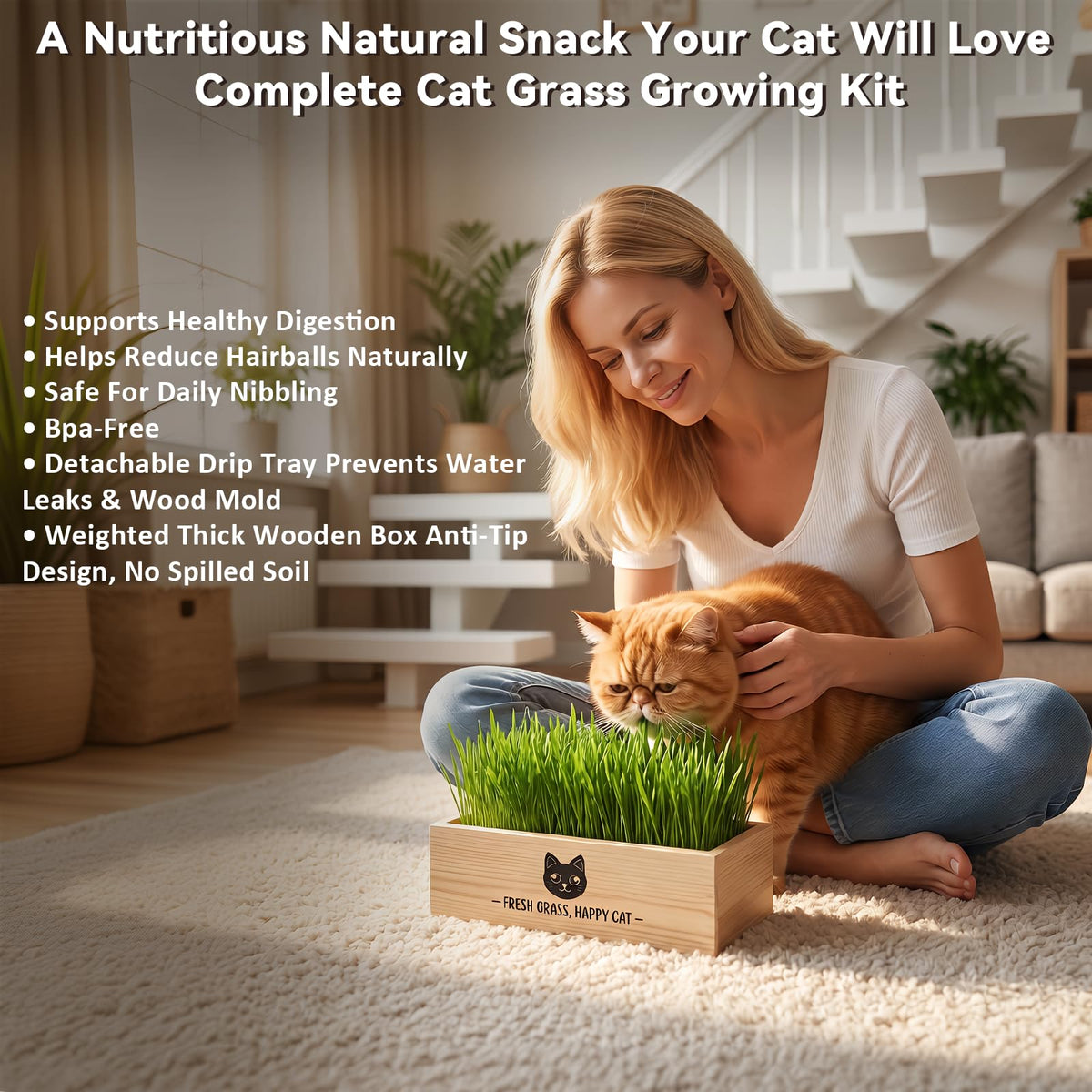Cat Grass Kit Indoor Non-GMO Wheatgrass Seeds Growing Set K891