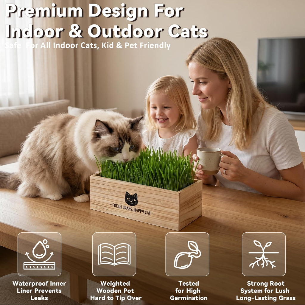 Cat Grass Kit Indoor Non-GMO Wheatgrass Seeds Growing Set K891