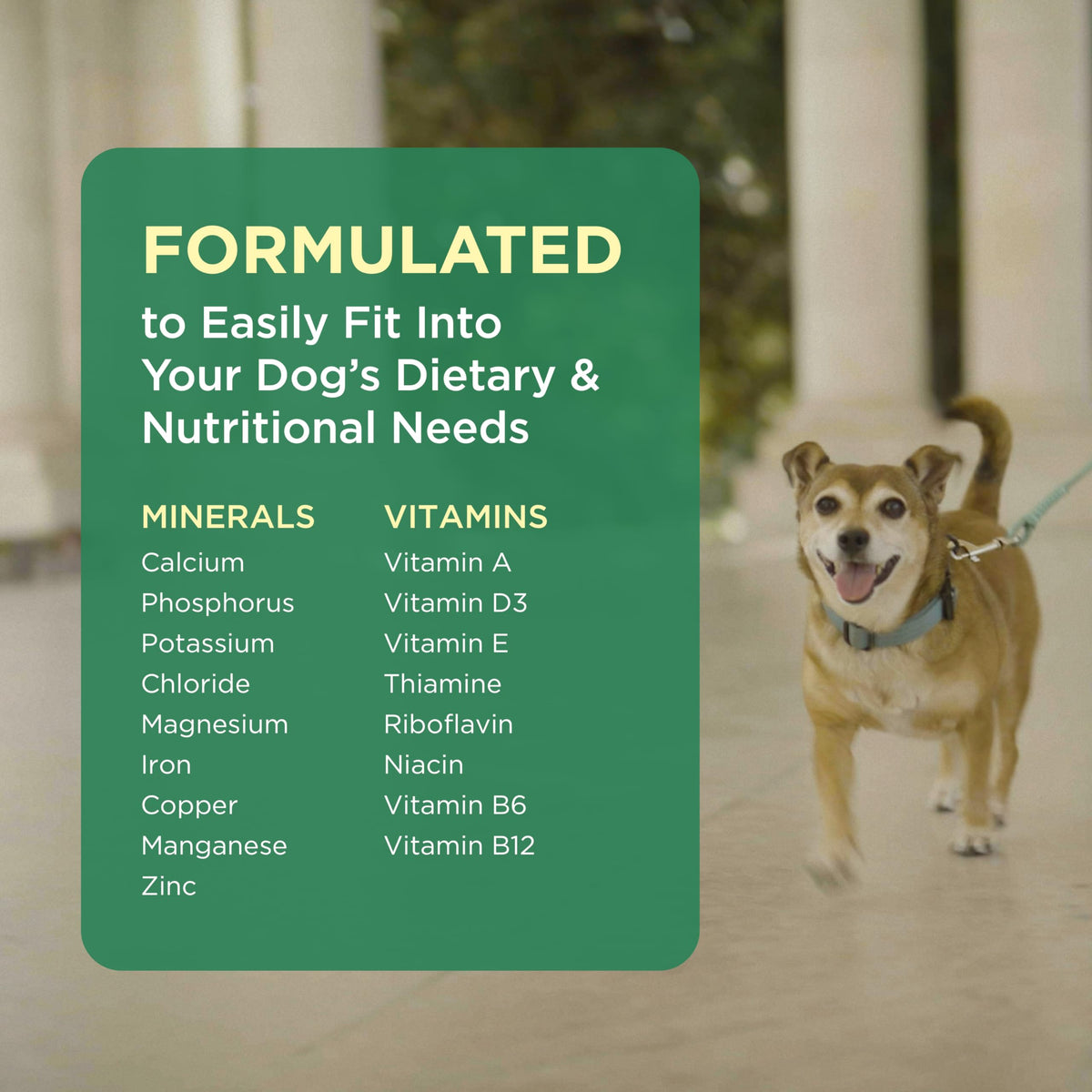 Multivitamin Supplement for Dogs 60 Chewables H900