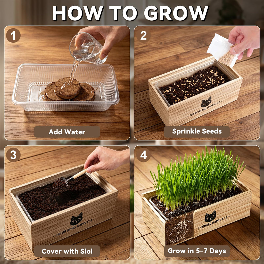 Cat Grass Kit Indoor Non-GMO Wheatgrass Seeds Growing Set K891