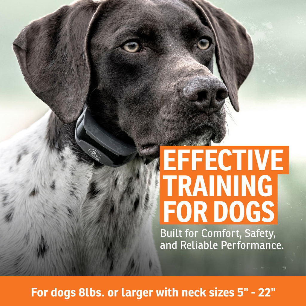 Add-A-Dog Waterproof Collar W242756