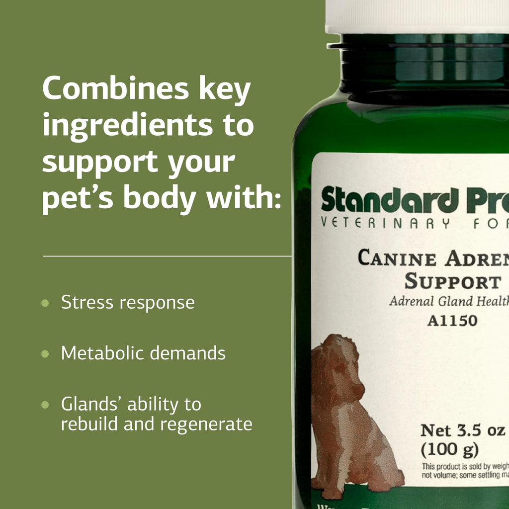 Canine Adrenal Support 100 g V351003