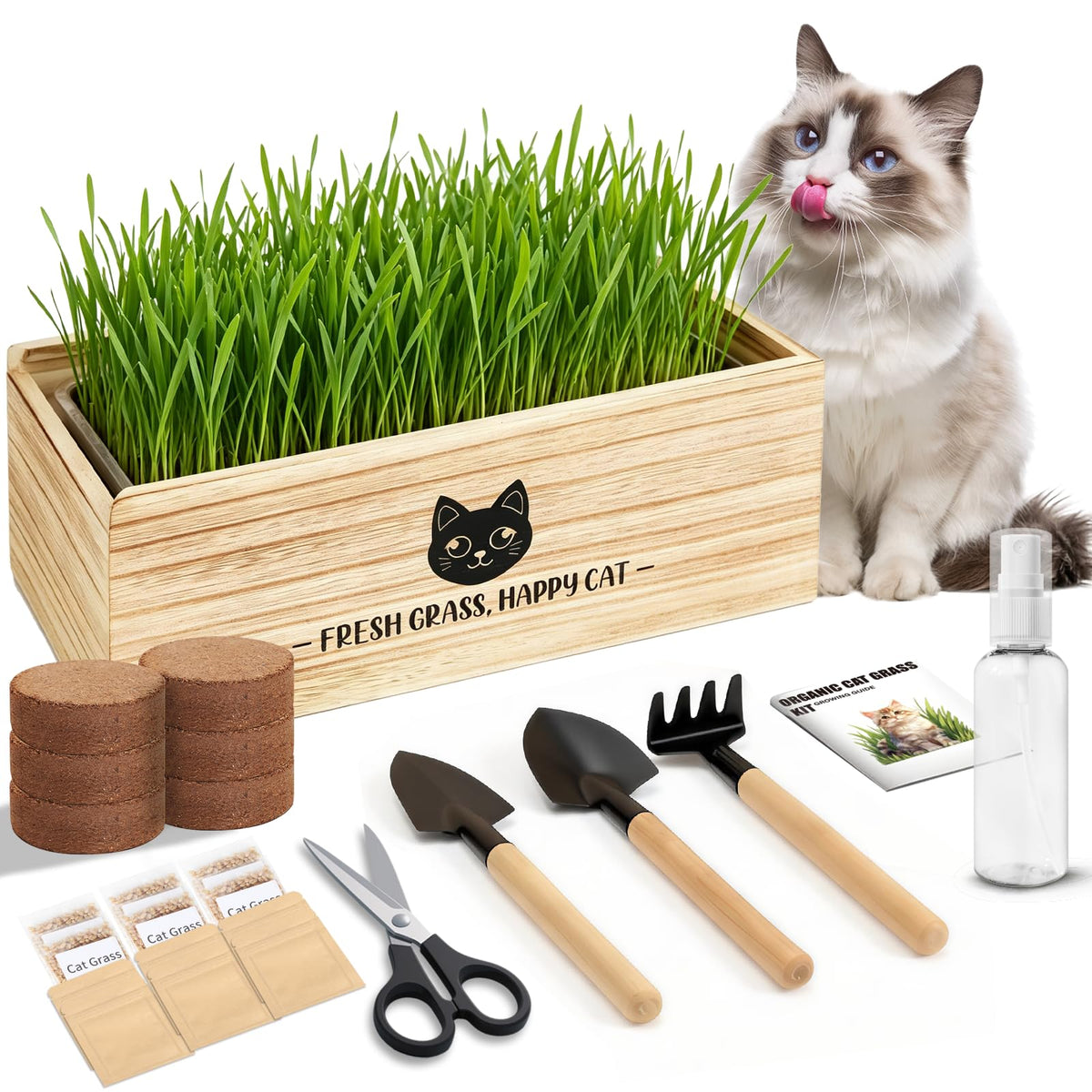 Cat Grass Kit Indoor Non-GMO Wheatgrass Seeds Growing Set K891