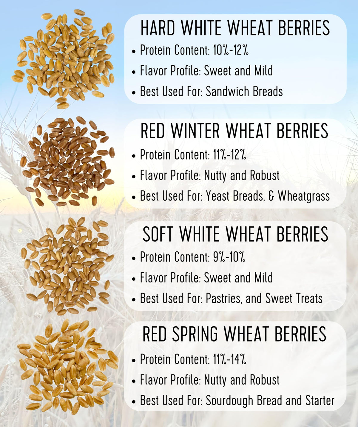 Hard White Wheat Berries 100 lbs J31174