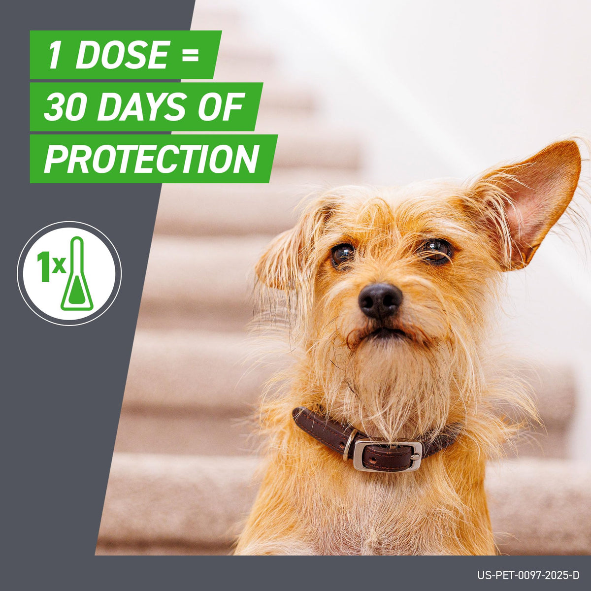Flea & Tick Spot Treatment for Small Breed Dogs 5-22 lbs O5849