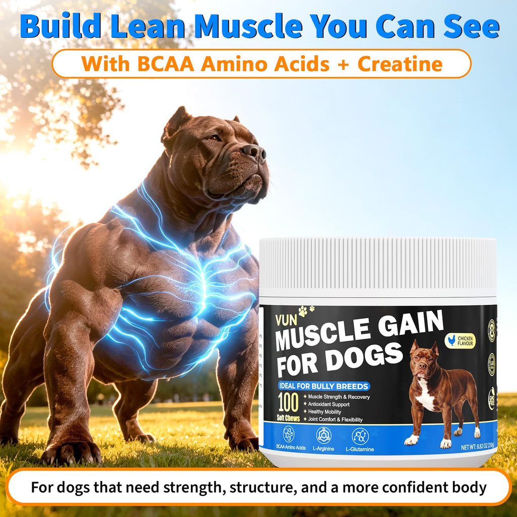 Dog Weight Gainer Soft Chews C86596