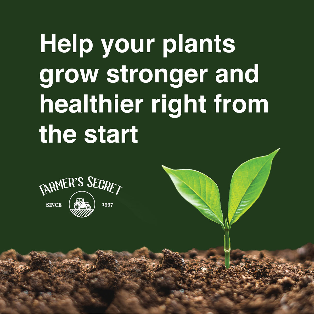 32oz Concentrated High Phosphorus Plant Booster T51335