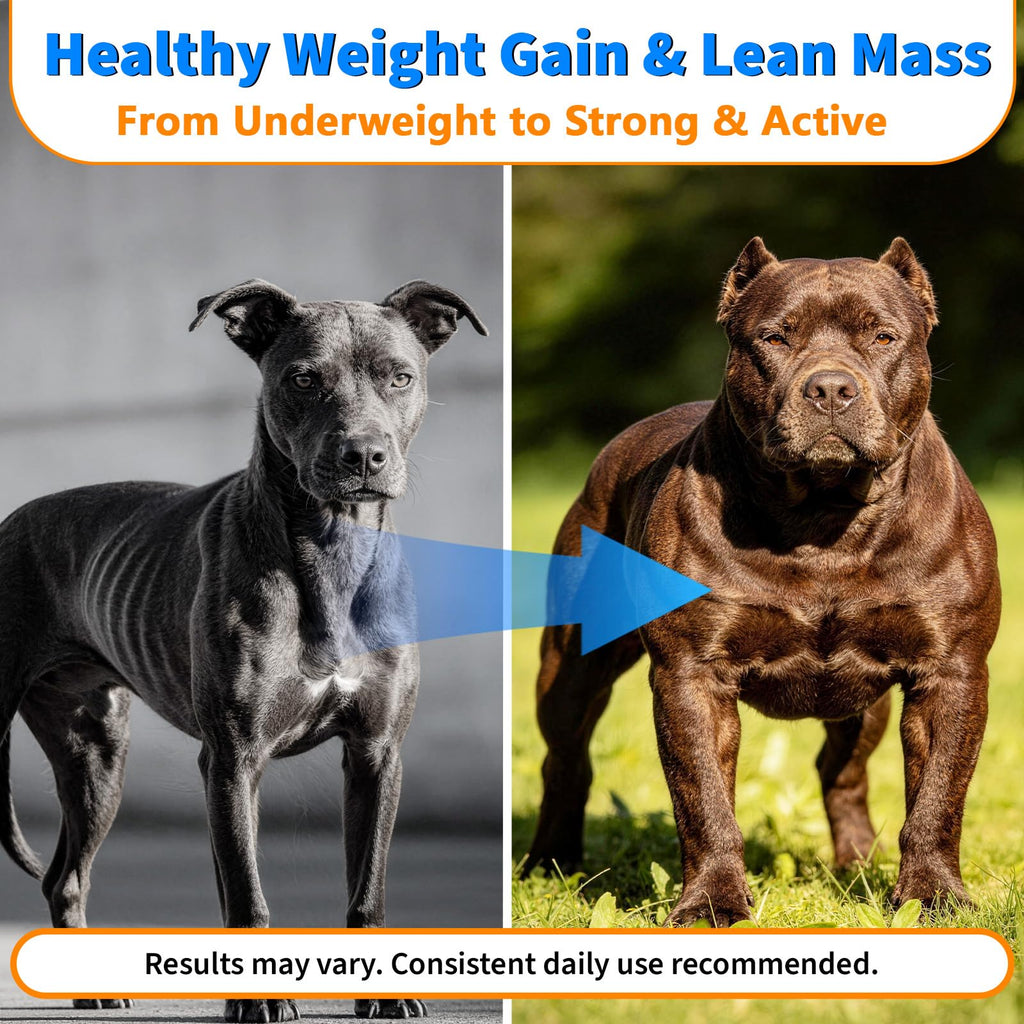 Dog Weight Gainer Soft Chews C86596
