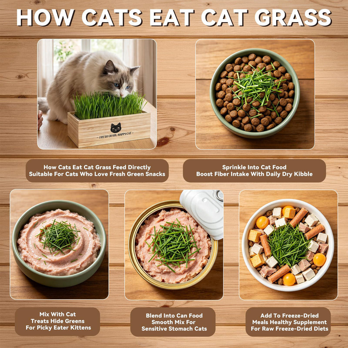 Cat Grass Kit Indoor Non-GMO Wheatgrass Seeds Growing Set K891