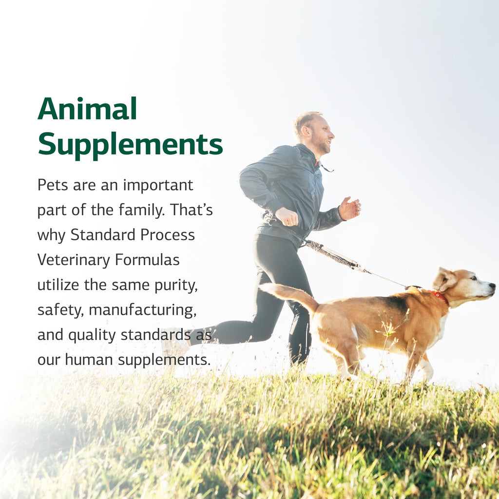 Canine Adrenal Support 100 g V351003