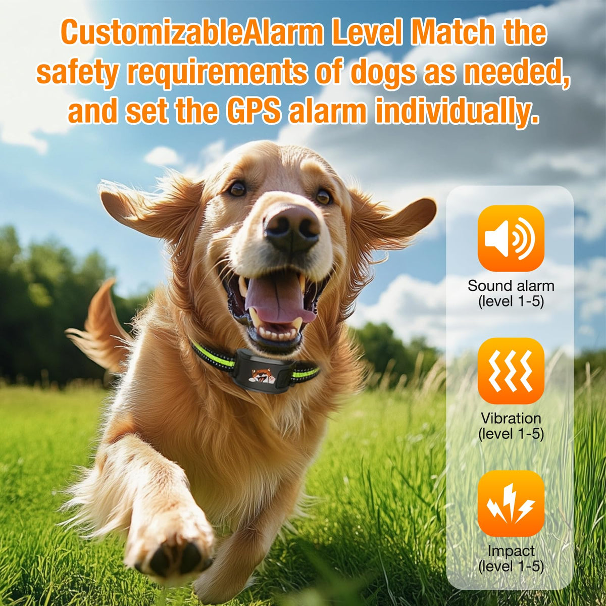 Wireless Dog Fence System with Training Collar C7678
